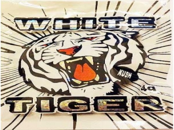 Buy White Tiger Online